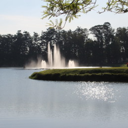 Parque do Ibirapuera