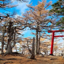 Fuji-Subaru Line 5th Station