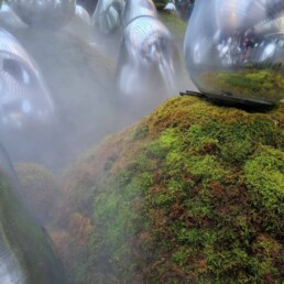 teamLab Planets TOKYO