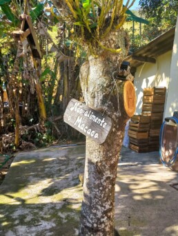 Vinícola Família Silotto