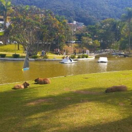 Praça Adhemar de Barros