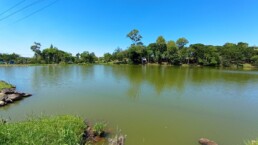 Osteria Della Colombina