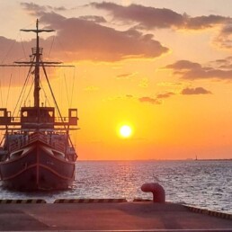 Osaka Aquarium Kaiyukan