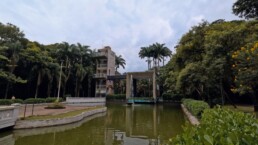 Jardim Botânico de Santos “Chico Mendes” - Santos - SP