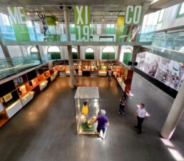 Museu do Pelé - Santos - SP