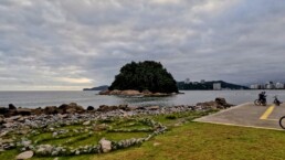 Parque Municipal Roberto Mário Santini - Santos - SP - Brasil