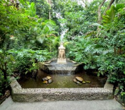 Orquidário Municipal de Santos - Santos - SP