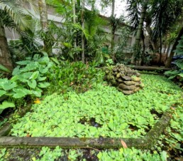 Orquidário Municipal de Santos - Santos - SP