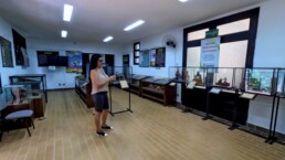 Orquidário Municipal de Santos - Santos - SP