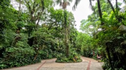 Orquidário Municipal de Santos - Santos - SP