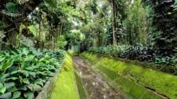 Orquidário Municipal de Santos - Santos - SP