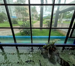 Aquário Municipal de Santos - SP - Brasil