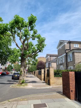 Abbey Road - The Beatles - Londres - Inglaterra - Reino Unido