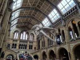 Museu de História Natural de Londres - Natural History Museum - London - Londres - Inglaterra - Reino Unido