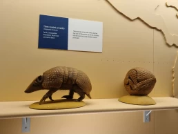 Museu de História Natural de Londres - Natural History Museum - London - Londres - Inglaterra - Reino Unido