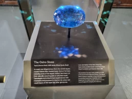 Museu de História Natural de Londres - Natural History Museum - London - Londres - Inglaterra - Reino Unido