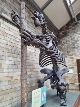 Museu de História Natural de Londres - Natural History Museum - London - Londres - Inglaterra - Reino Unido