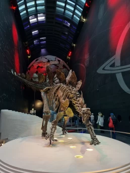 Museu de História Natural de Londres - Natural History Museum - London - Londres - Inglaterra - Reino Unido