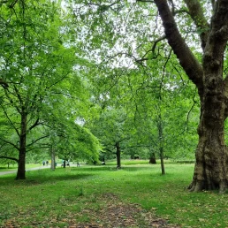 Parque Bute - Cardiff - País de Gales - Reino Unido