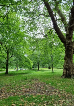 Parque Bute - Cardiff - País de Gales - Reino Unido