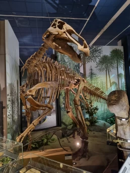 Museu Nacional de Cardiff - Cardiff - País de Gales - Reino Unido