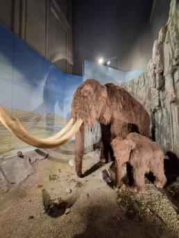 Museu Nacional de Cardiff - Cardiff - País de Gales - Reino Unido