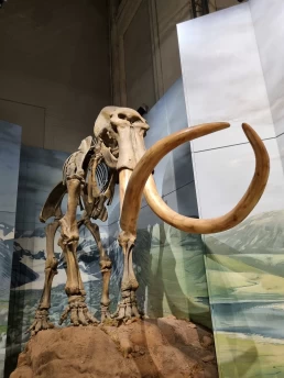 Museu Nacional de Cardiff - Cardiff - País de Gales - Reino Unido