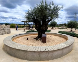MAB - Museu de Arqueologia Bíblica - Jardim Bíblico - Engenheiro Coelho - São Paulo