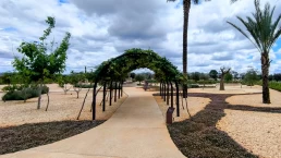 MAB - Museu de Arqueologia Bíblica - Jardim Bíblico - Engenheiro Coelho - São Paulo
