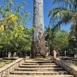 Plaza De Armas - Assunção - Paraguai