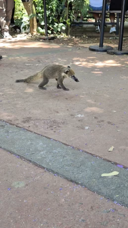 Puerto Iguazú - Cataratas del Iguazú - Misiones - Argentina