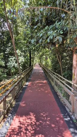 Puerto Iguazú - Cataratas del Iguazú - Misiones - Argentina