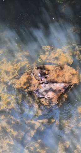 Puerto Iguazú - Cataratas del Iguazú - Misiones - Argentina