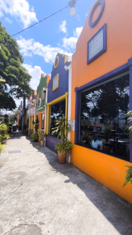 Boulevard Holandês