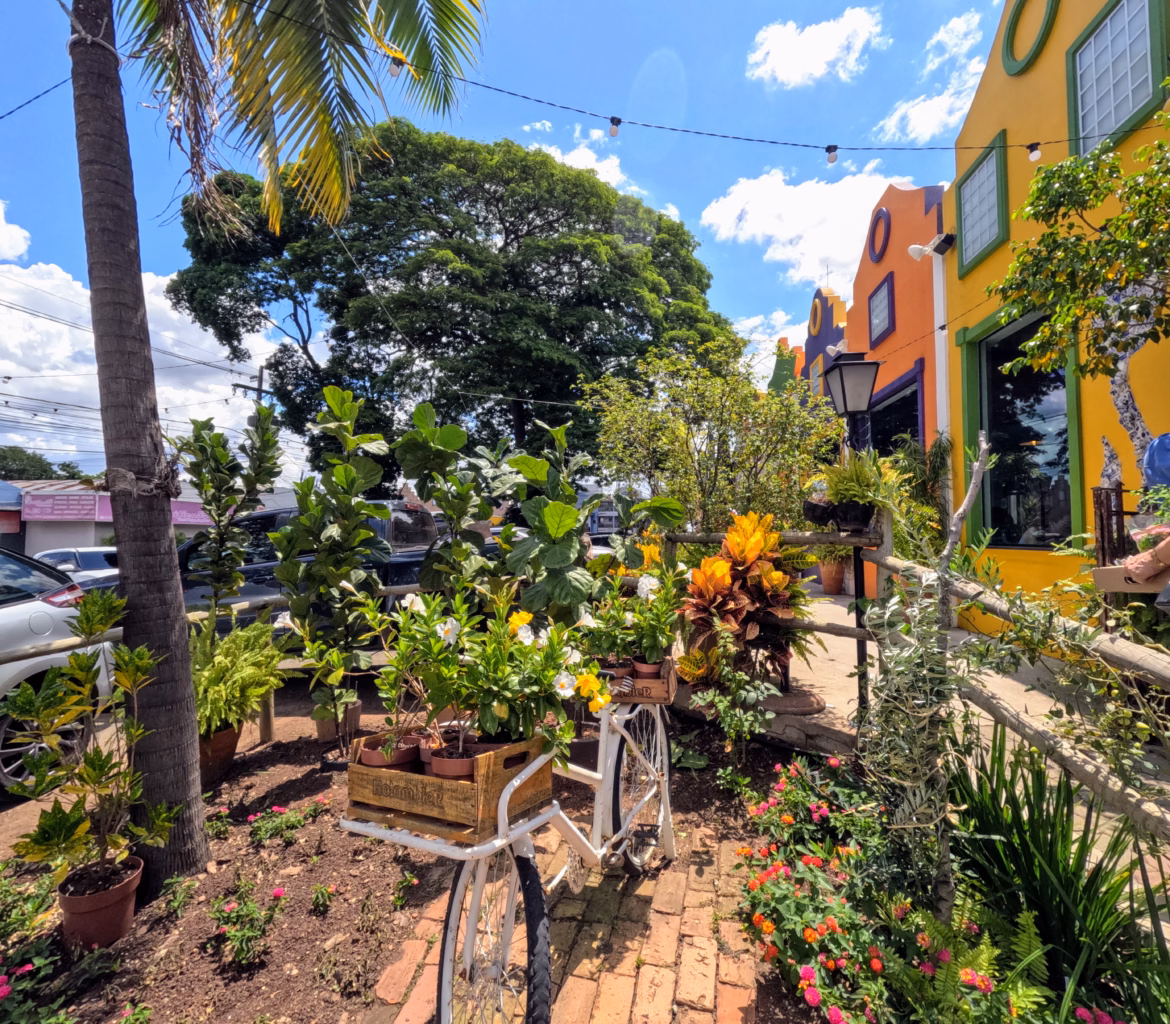 Boulevard Holandês
