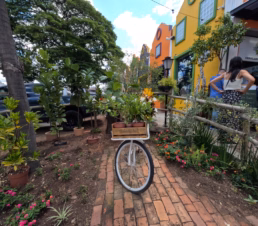 Boulevard Holandês