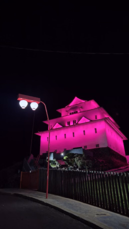Memorial da Imigração Japonesa - Castelo Japonês