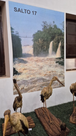 Museu Histórico de Guaíra - Museu Sete Quedas
