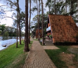 Parque Van Gogh