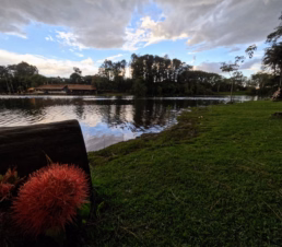 Parque Van Gogh
