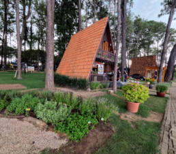 Parque Van Gogh