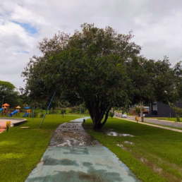 Parque do Lago Rogério Manuel Gonçalves Lourenço