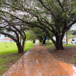 Parque do Lago Rogério Manuel Gonçalves Lourenço