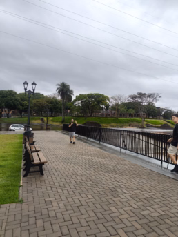 Seringueira